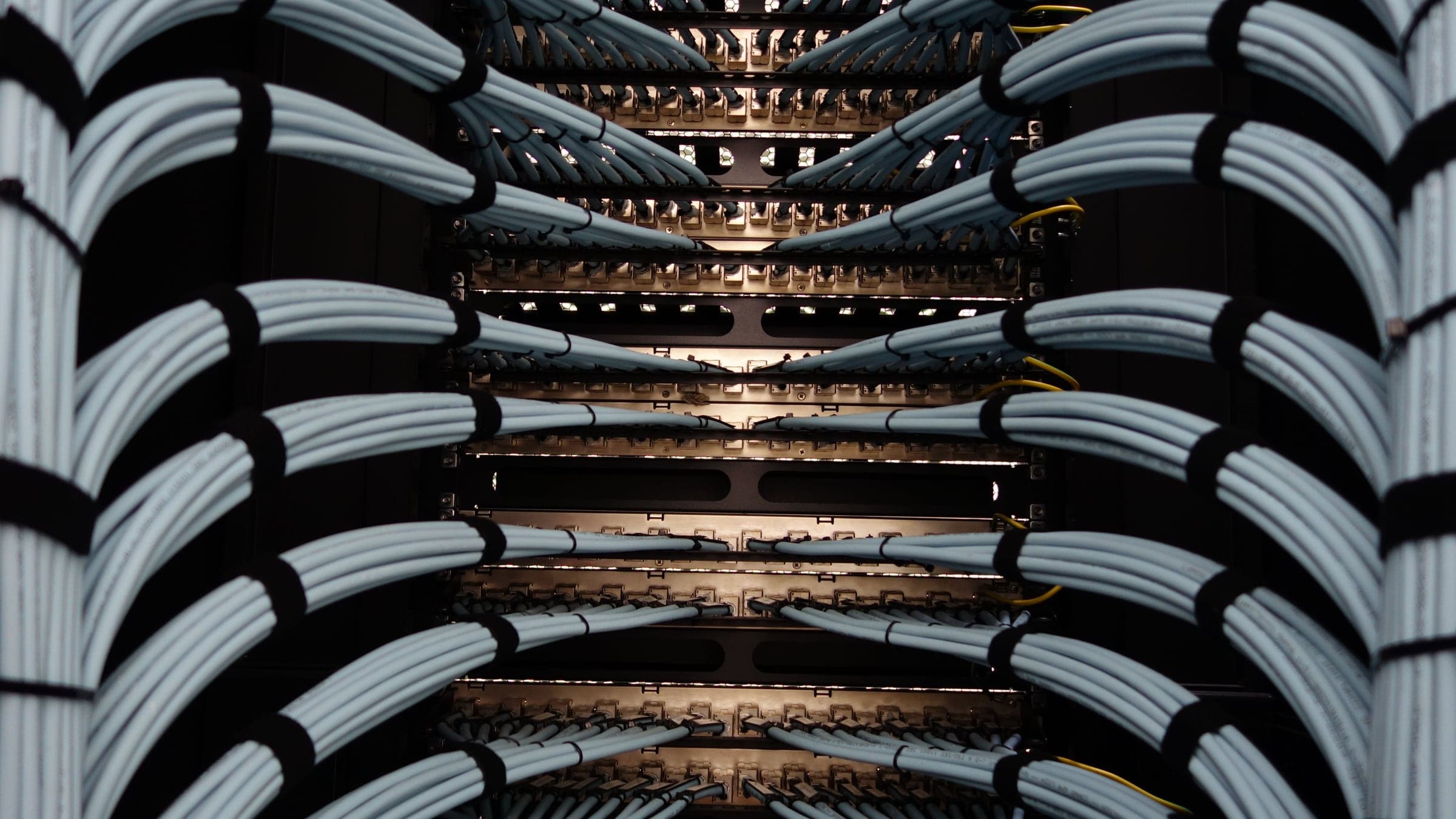 Rows of pale network cables fanning out neatly from a server rack.