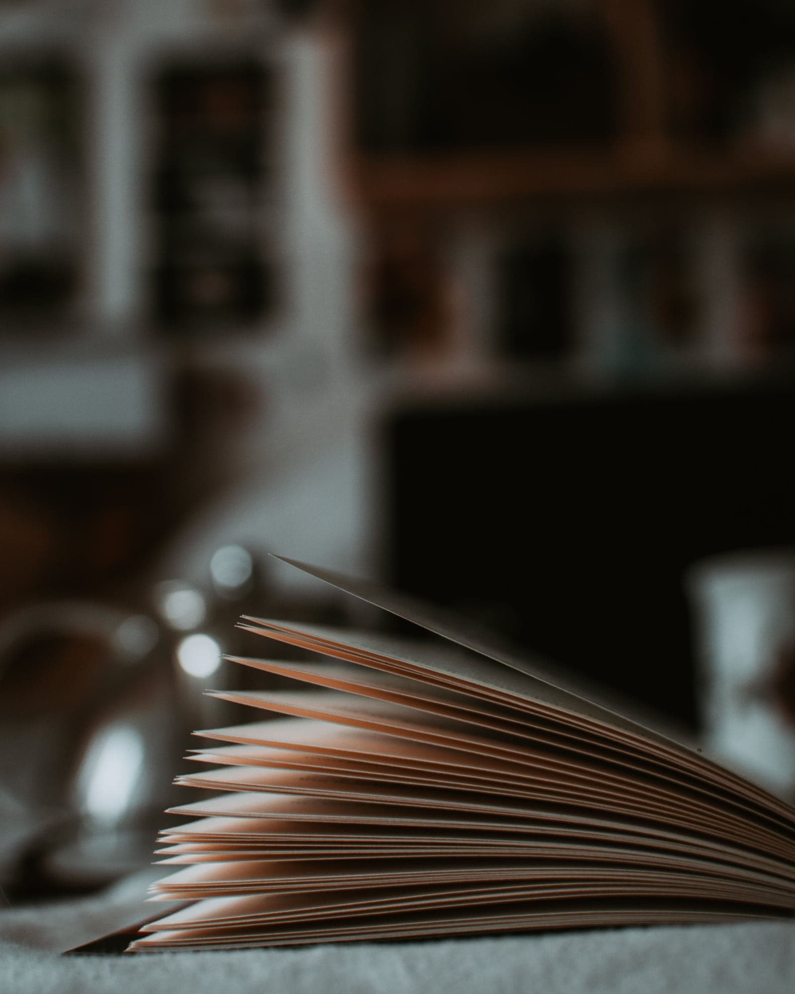 The fanned pages of an open book in soft light, a bookshelf out of focus behind.